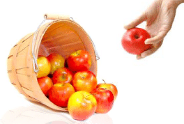 producteur-fruits-frais