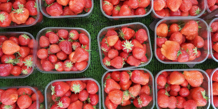 Des fraises dans des barquettes en plastique sur un étal